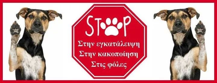 εφη απλα banner