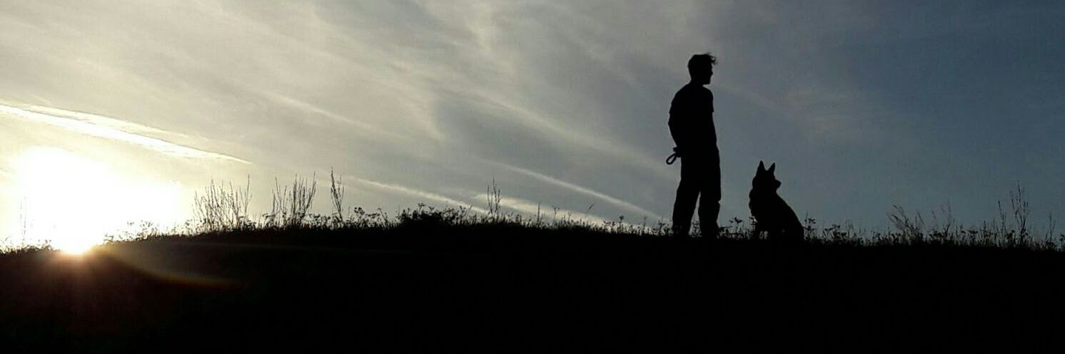 PabloRuizB98's profile banner image