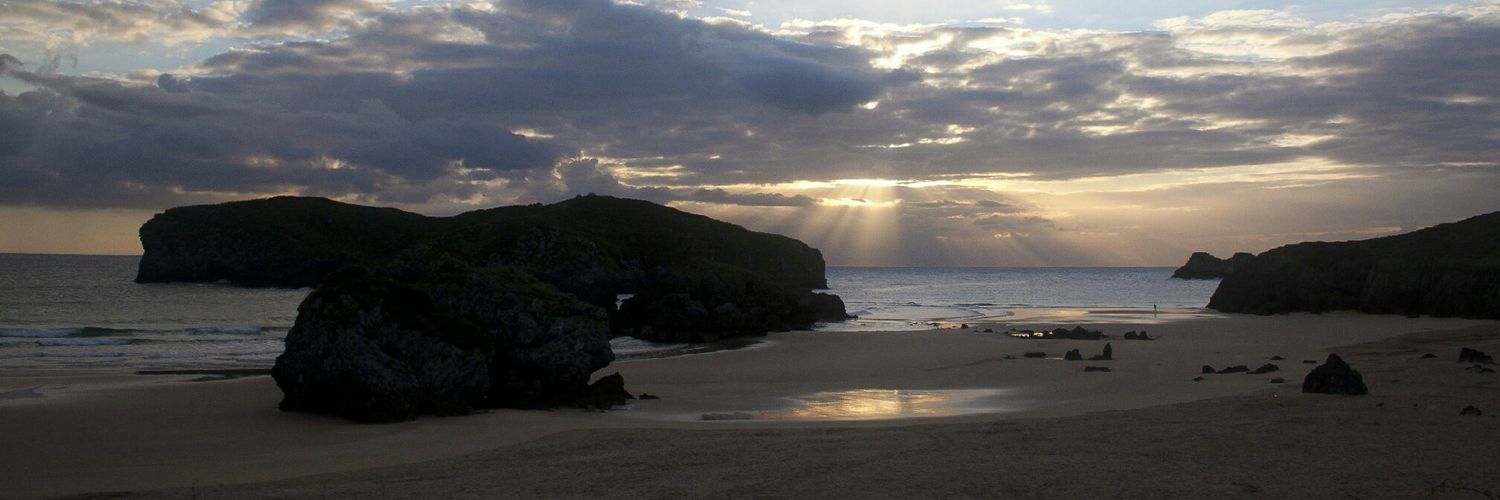 El disidente1 banner