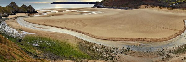 BeautifulGower Profile Banner