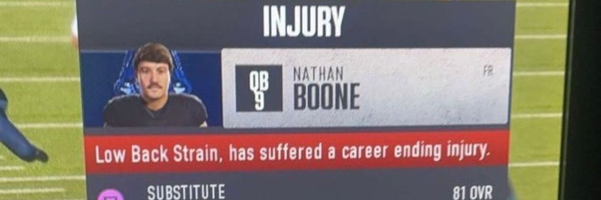 Nathan Boone banner