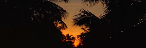 anshusaurav Profile Banner