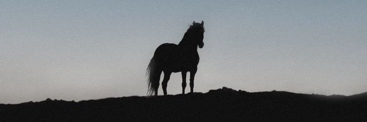 kendemrr's profile banner image