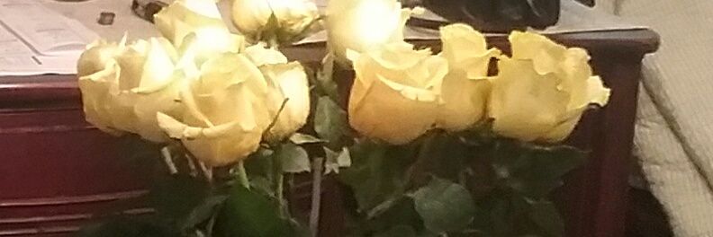 retiredpaula's profile banner image
