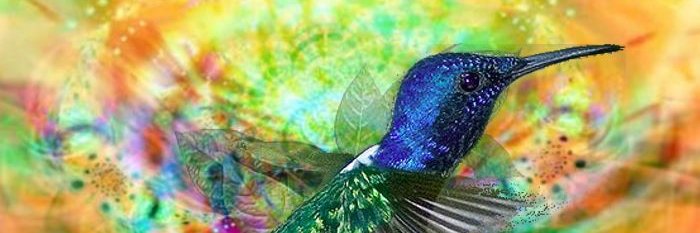luchosanchezgo's profile banner image