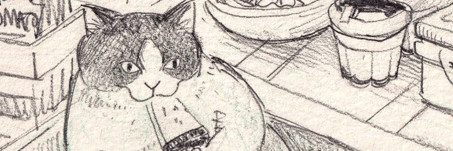 Wh_52Hz's profile banner image