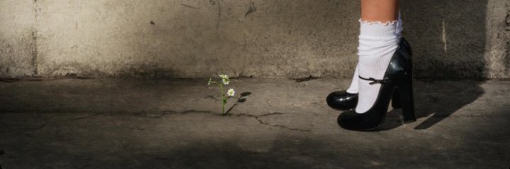 moonIightbee's profile banner image