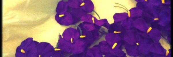 snow_blanc Profile Banner