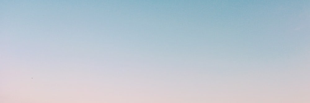lailabashmal's profile banner image