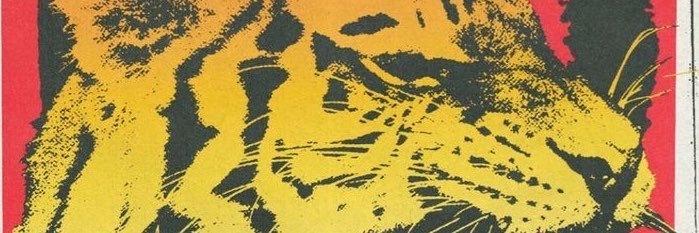 YaninArleth's profile banner image