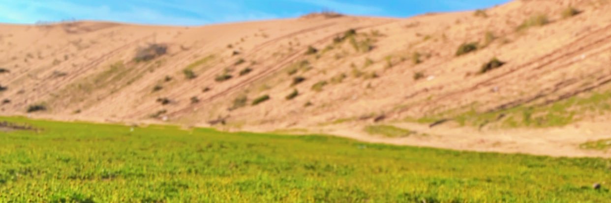 yuy14400's profile banner image