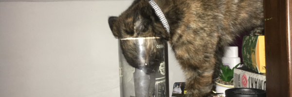 lukewarmdaly Profile Banner