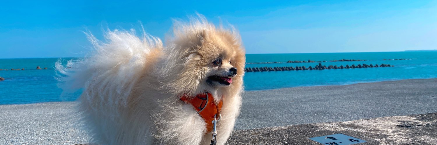 りんりんたろう🪐 banner