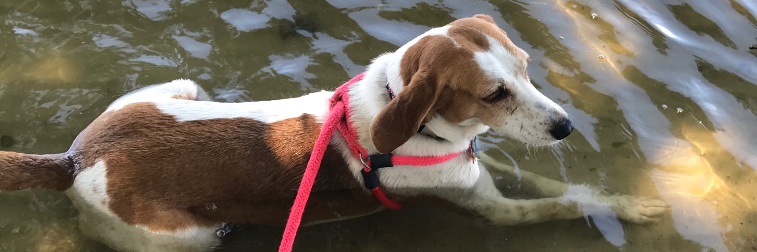 penelopehound's profile banner image