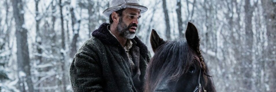 Sophie Scurlock banner