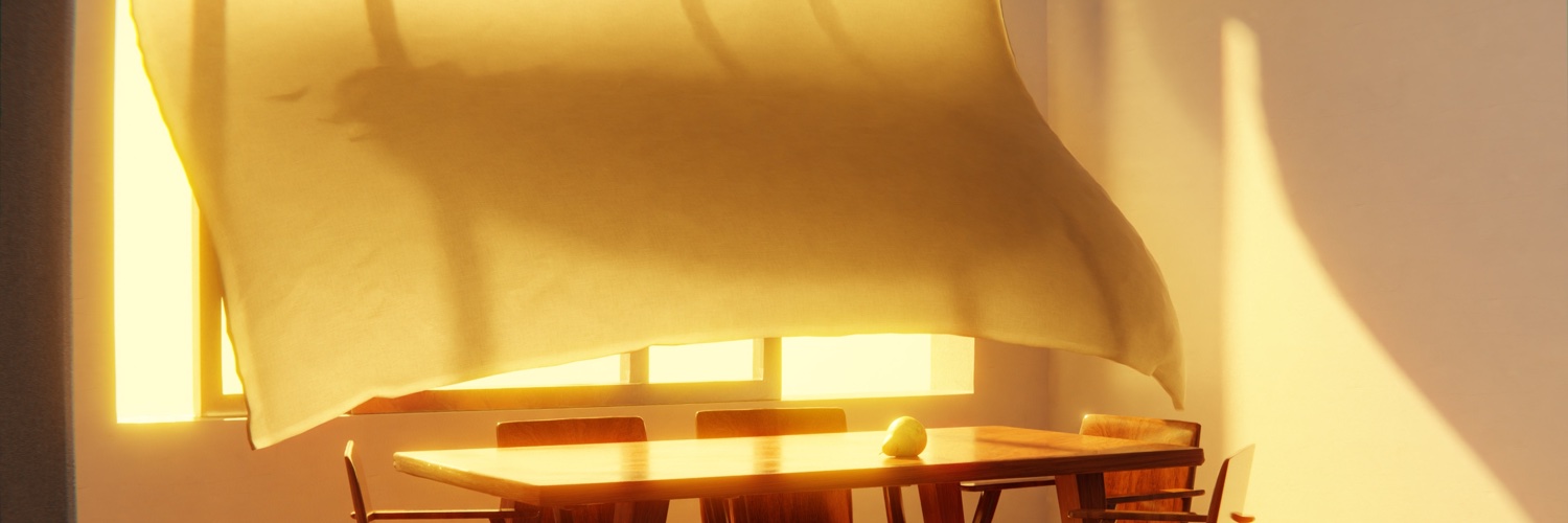 Ottaz banner