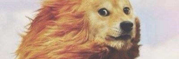 jreimer3 Profile Banner