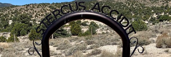 B4s3d_4c1d Profile Banner
