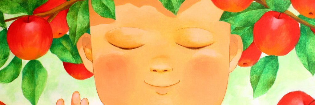 imo banner