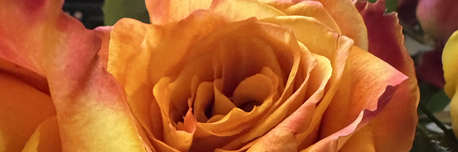 heatherbob45's profile banner image