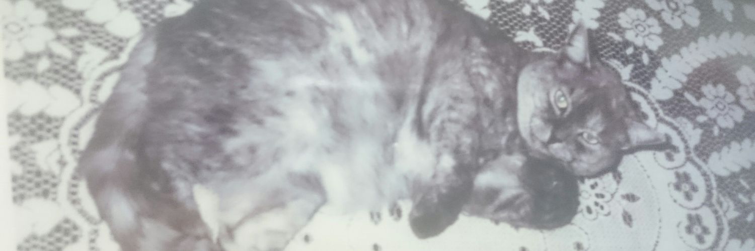 12dizzy's profile banner image