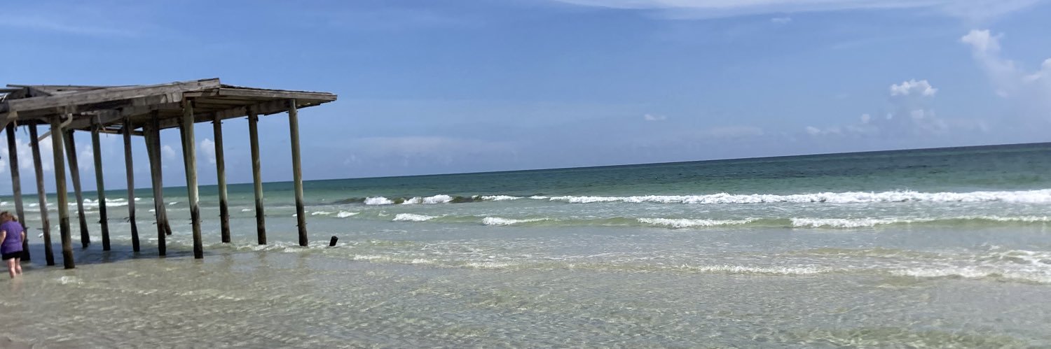 TaylorBLindsay's profile banner image