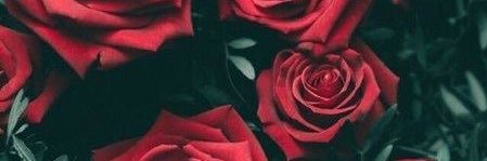 rayoon_22's profile banner image