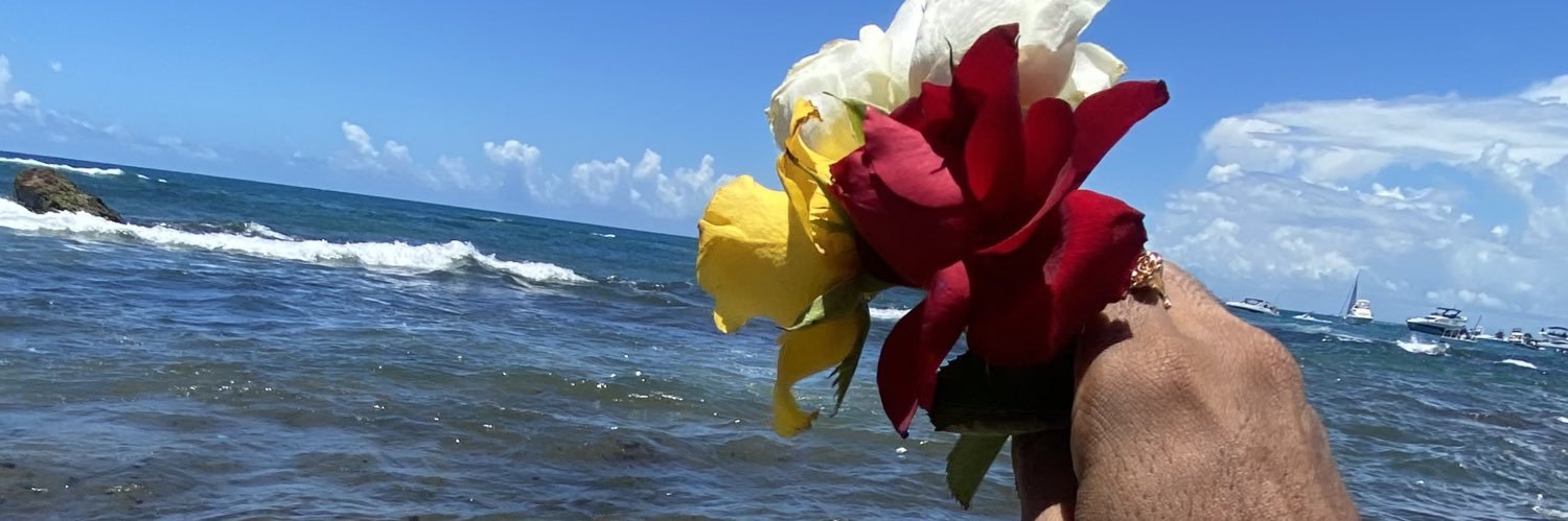 AlipioAOF's profile banner image
