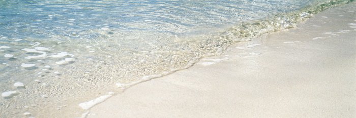 shopsaltvine's profile banner image