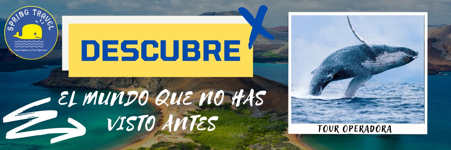 springtravel's profile banner image