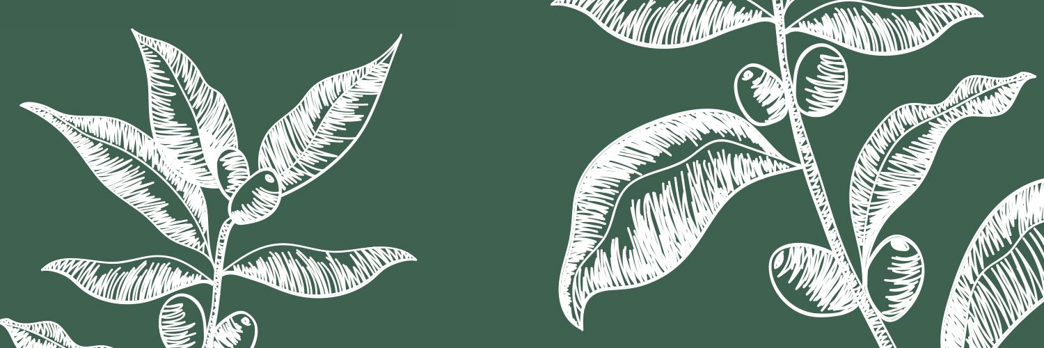Hampshire Coffee Festival banner