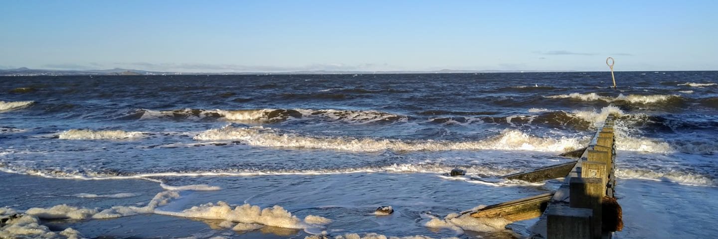 Kate orton-johnson banner