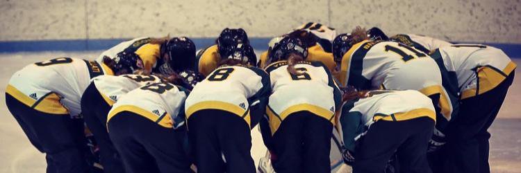 Devils_NRL's profile banner image