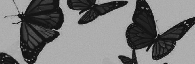 HESTPWK15's profile banner image