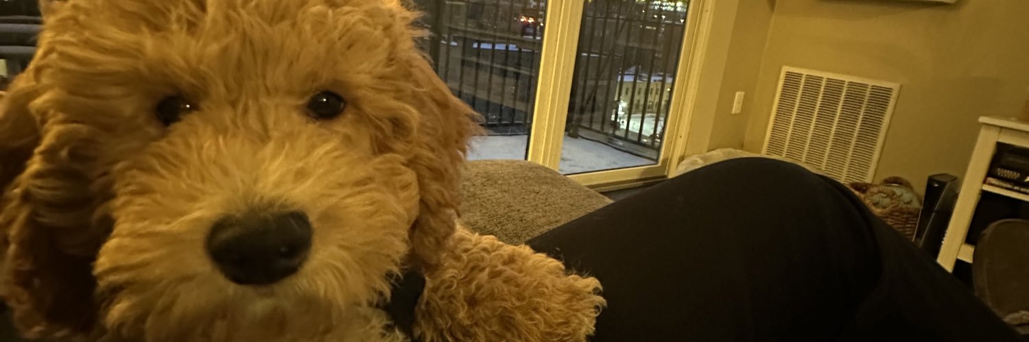 Doge Howser banner