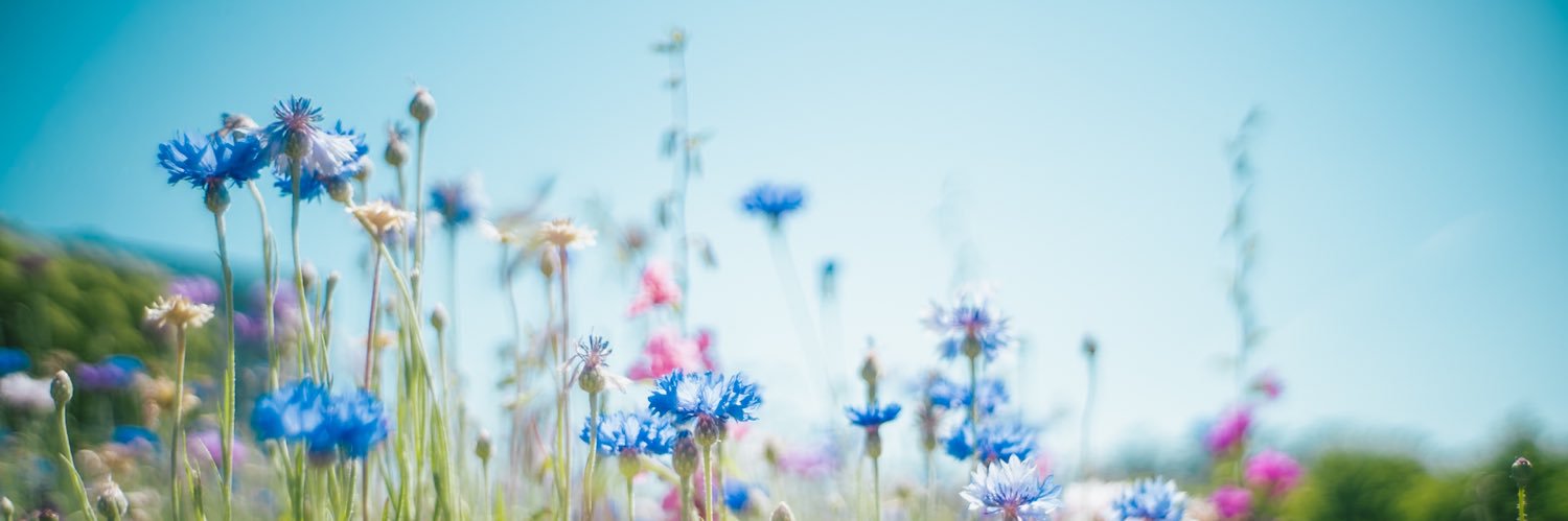 9216 kunihiro banner