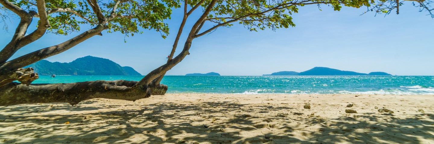 Paul Chenot 🌴 banner