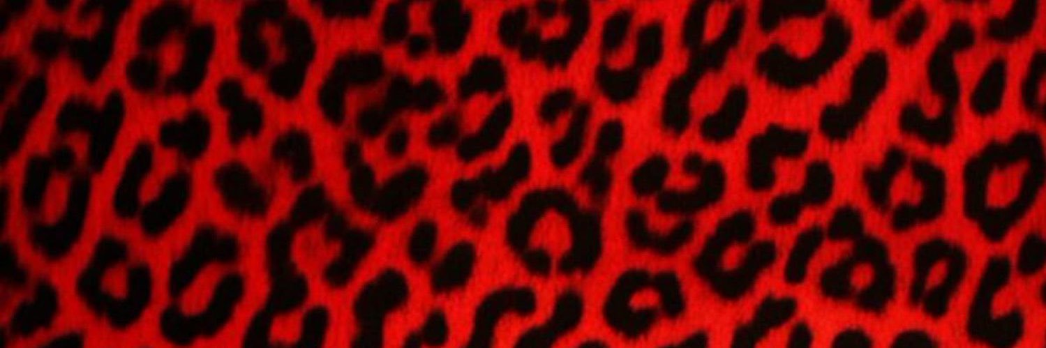 msfreak25's profile banner image