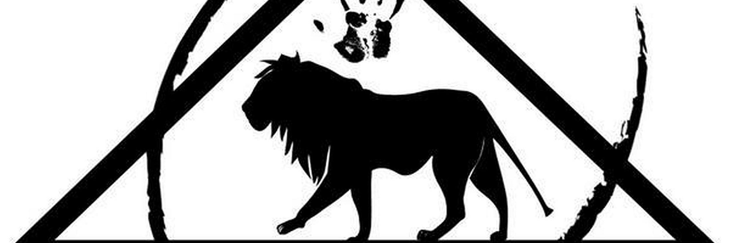 MagnificentTeam's profile banner image