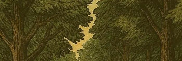 ELPMelo's profile banner image