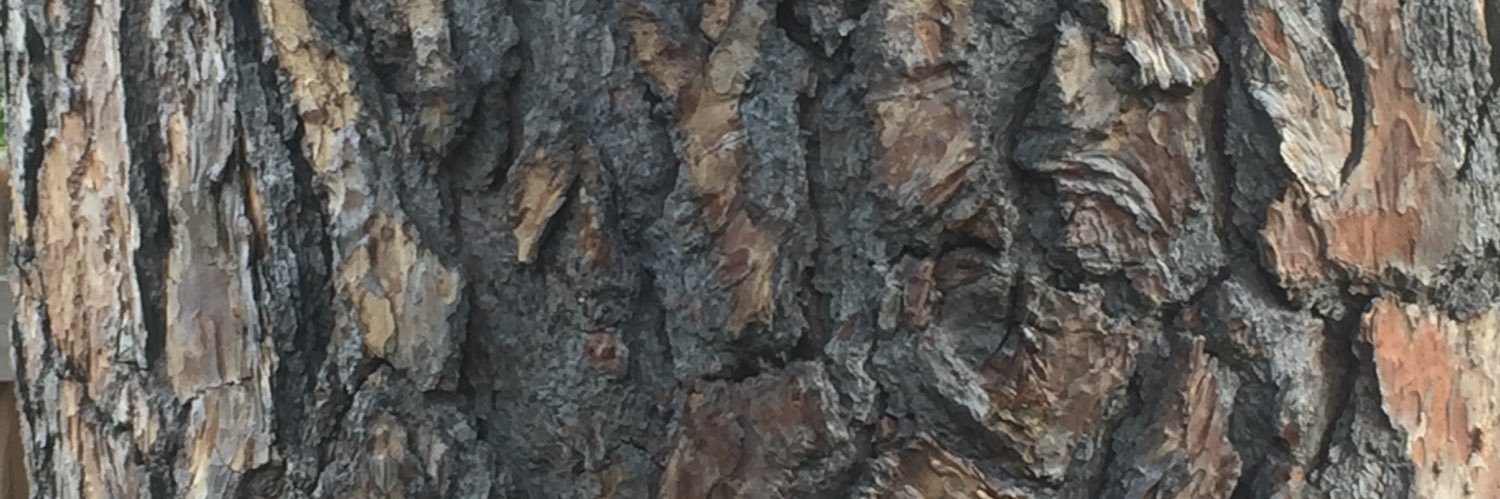 MsAndreaTeaches's profile banner image