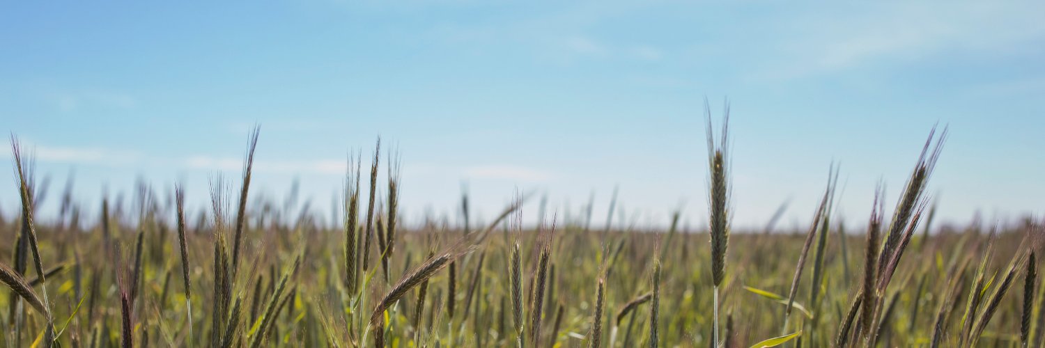 Graminex's profile banner image