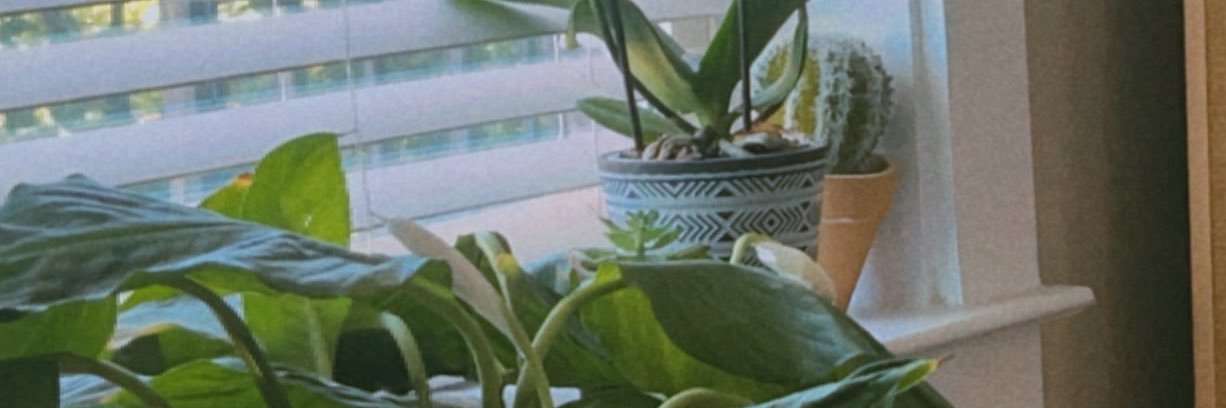 vibewithelaa's profile banner image