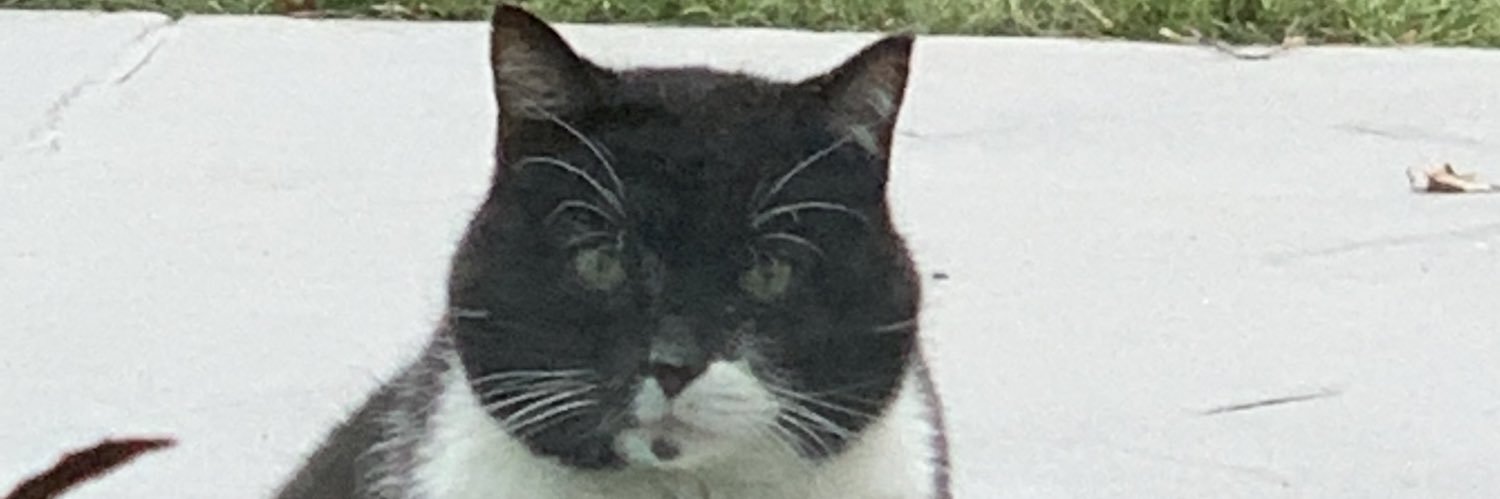 flushswr's profile banner image