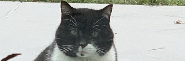 flushswr Profile Banner