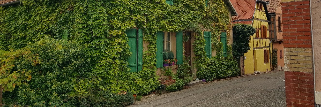 Dent_Bowering's profile banner image