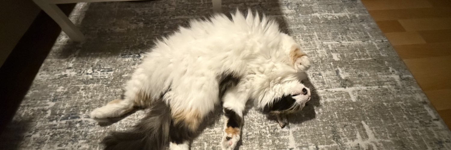 sueda ♀♡ ˃̵͈̑ᴗ˂̵͈̑ banner