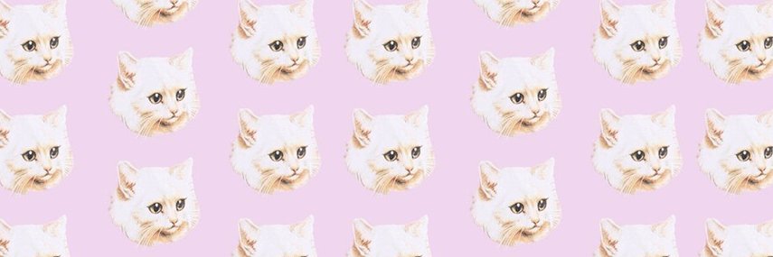 ElaRelatou's profile banner image
