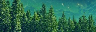 xhunter28's profile banner image