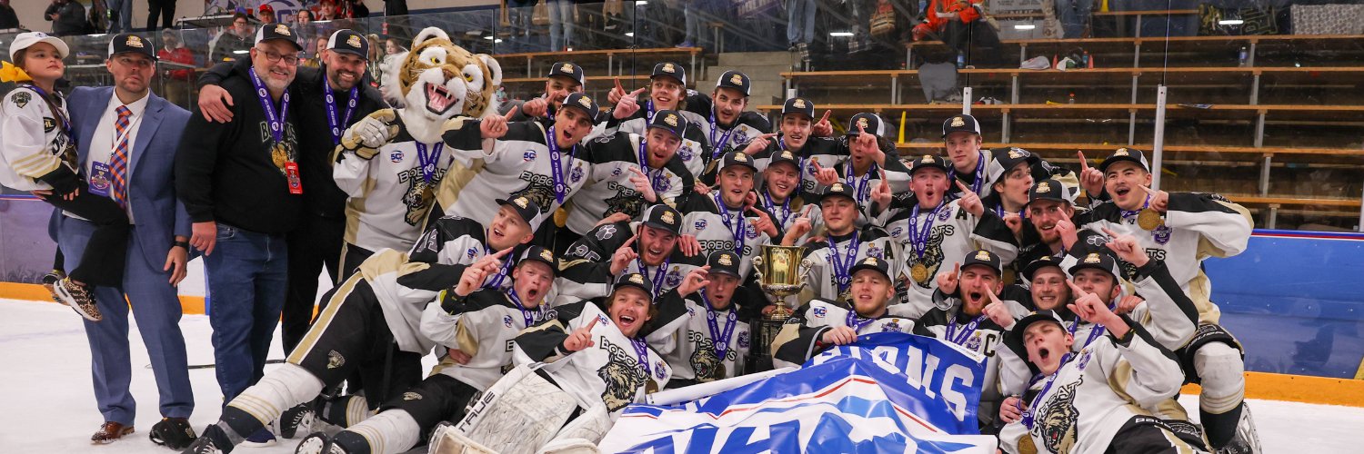 Bismarck Bobcats's banner